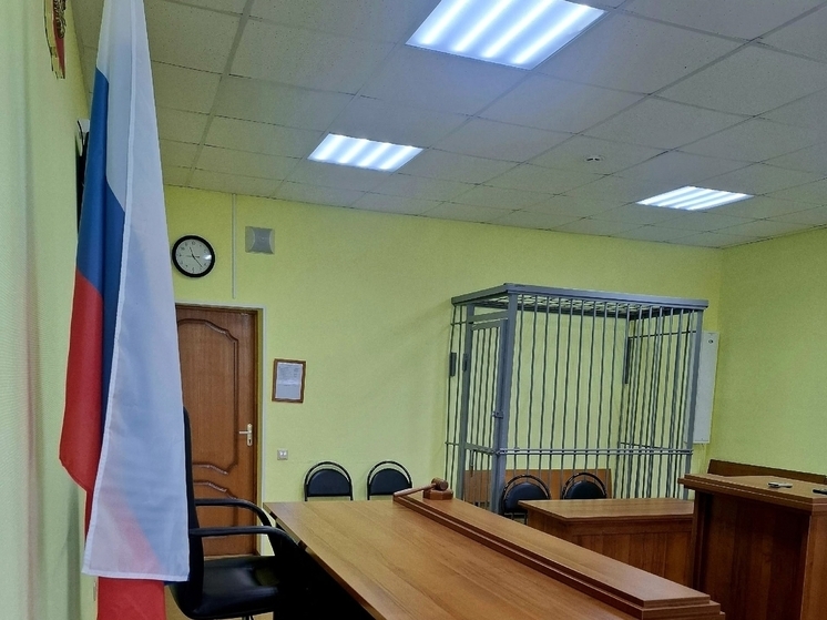 В Меленках мужчине заменили принудительные работы реальным сроком в колонии
