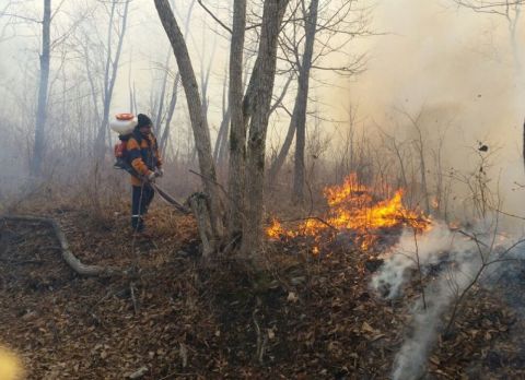Ландшафтные пожары полыхают в Приморье, несмотря на особый противопожарный режим