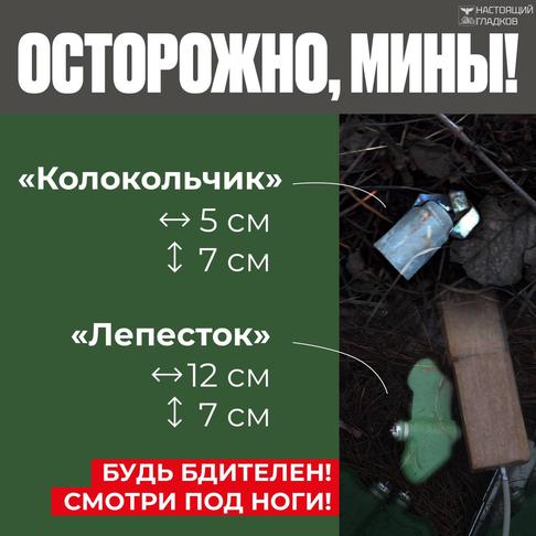В Белгородской области вводят ежедневные уроки безопасности для детей - Изображение 1