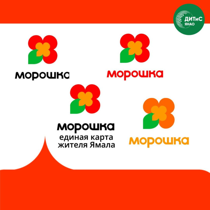 Карта марошка. Морошка карта жителя ямала. Морошка карта ямал. Карта морошка ноябрьск. Карта марошка.