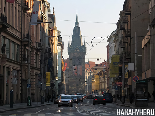 Фото: Накануне.RU