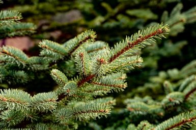 5867826.jpg?086888002b3e2876b277c9cd3935cd91