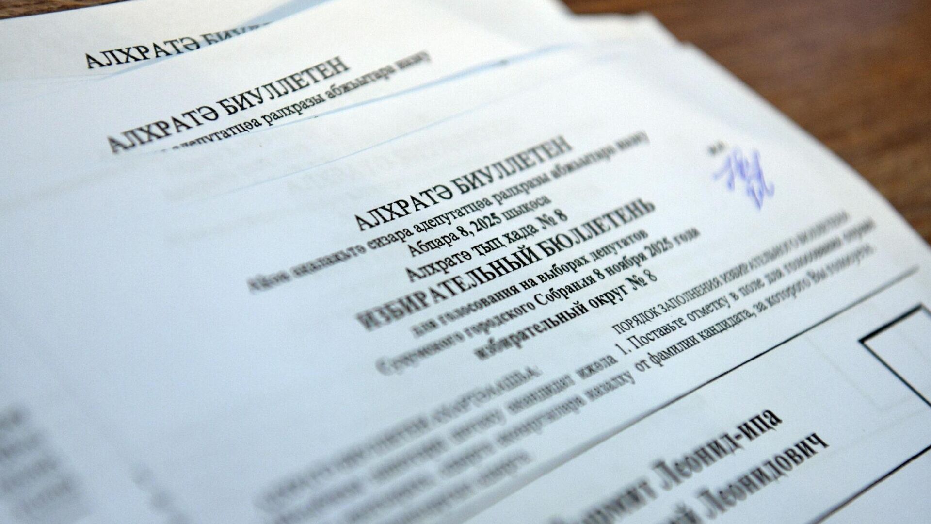 Выборы в органы местного самоуправления 8 ноября 2025 года - Sputnik Абхазия, 1920, 09.11.2025