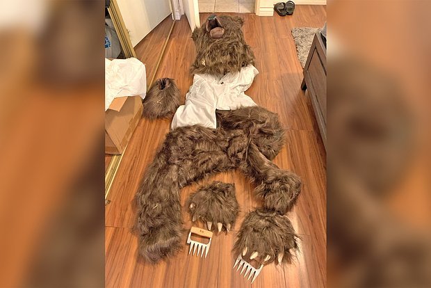 Фото: https://abc7.com/amp/post/4-la-area-residents-accused-using-bear-suit-damage-cars-defraud-insurance-companies-officials-say/15544020/