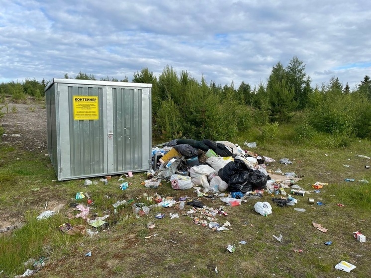 Депутаты Заксобрания Карелии возмутились бездействию местных властей, где поселки завалены мусором