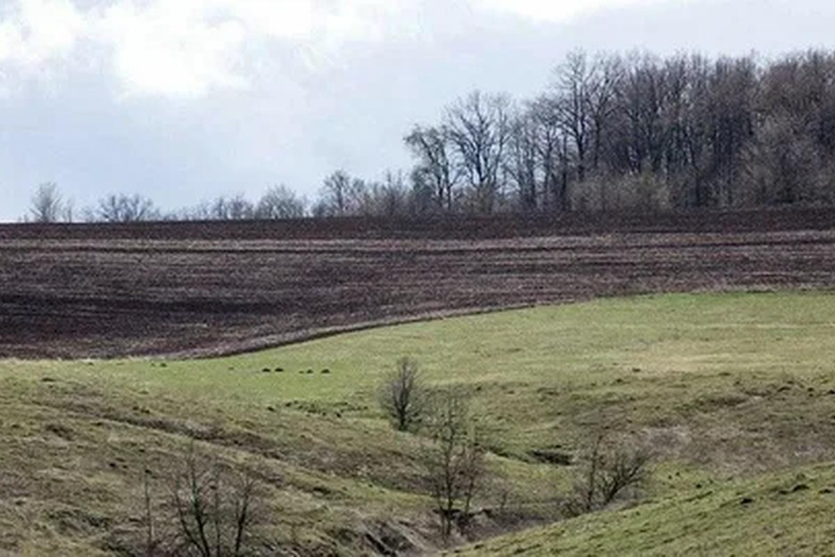 Власти Калужской области намерены вернуть в сельхозоборот 150 000 га земли