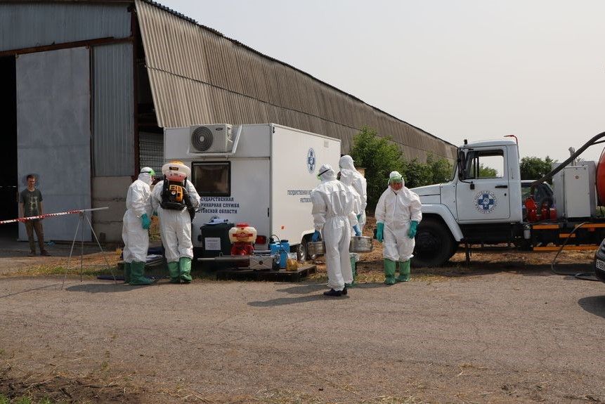 В Ростовской области прошли межрегиональные учения по ликвидации эпизоотического очага ящура