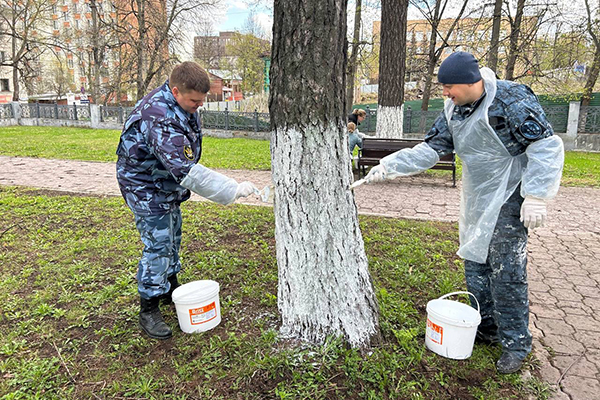 Сотрудники УФСИН России по Тульской области активно участвуют в месячнике благоустройства и чистоты