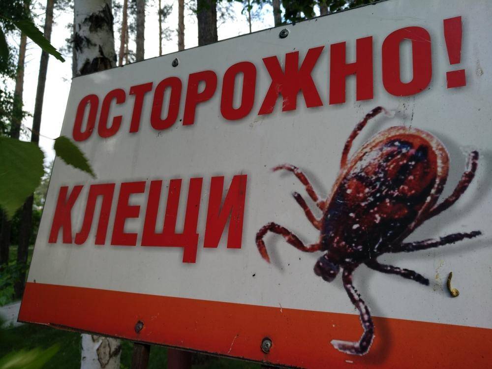 Сезон клещей
