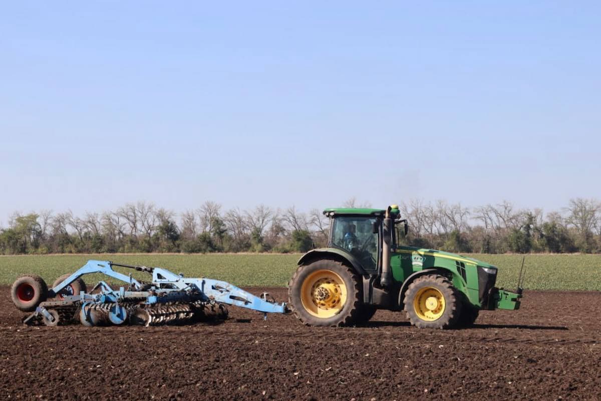 В Краснодарском крае озимыми культурами засеяли 1,8 млн гектаров