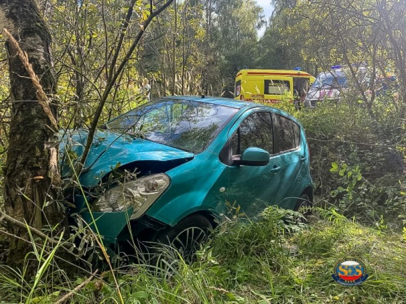 Во Владимирской области в столкновении двух легковушек пострадала женщина