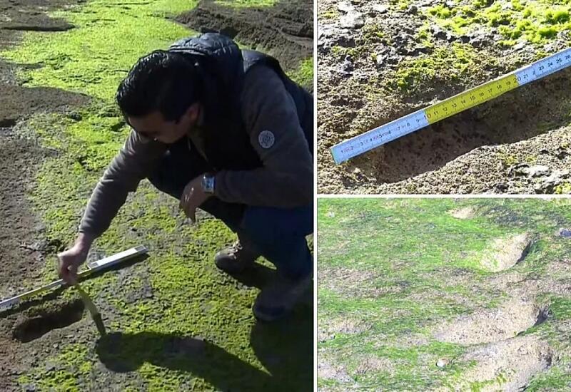 тысяча восемьсот тридцать первый. склонение числительных по падежам. тысяча девяносто втором году. тысяча девяносто втором году. склонение составных порядковых числительных таблица.