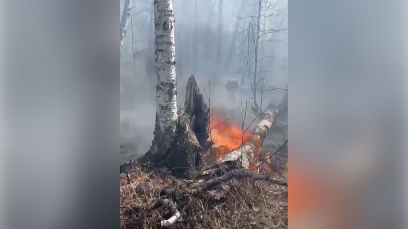 Что на данный момент происходит в башкирии. Пожар в лесу. Природные пожары. Лесные пожары в Свердловской области. Сгоревший дом.