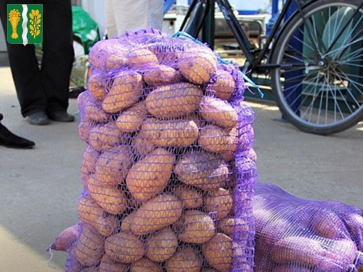 Ульяновский район собирает картошку для бойцов СВО