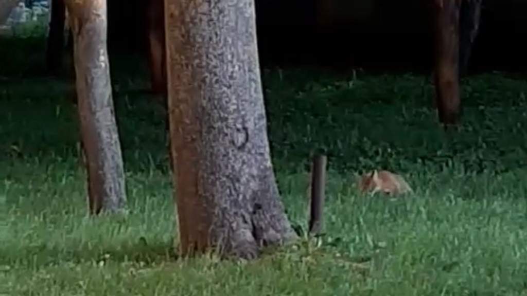 Не только в Вильнюсе 