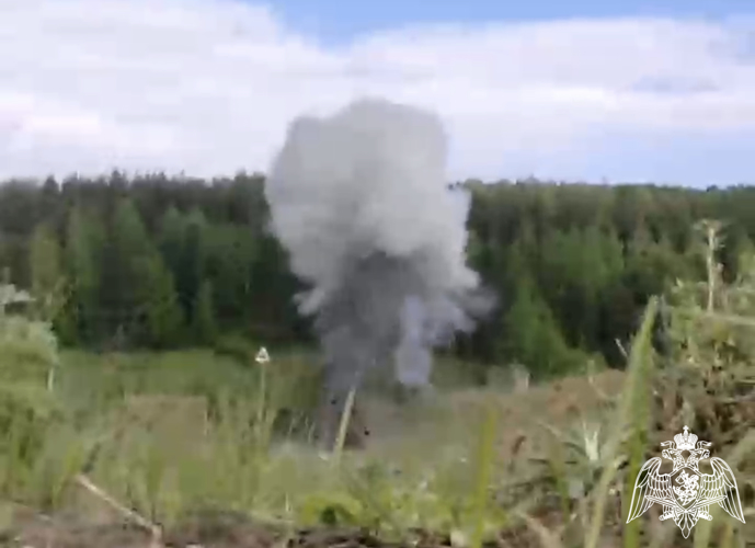 В Мордовии взрывотехники Росгвардии уничтожили ранее изъятые боеприпасы