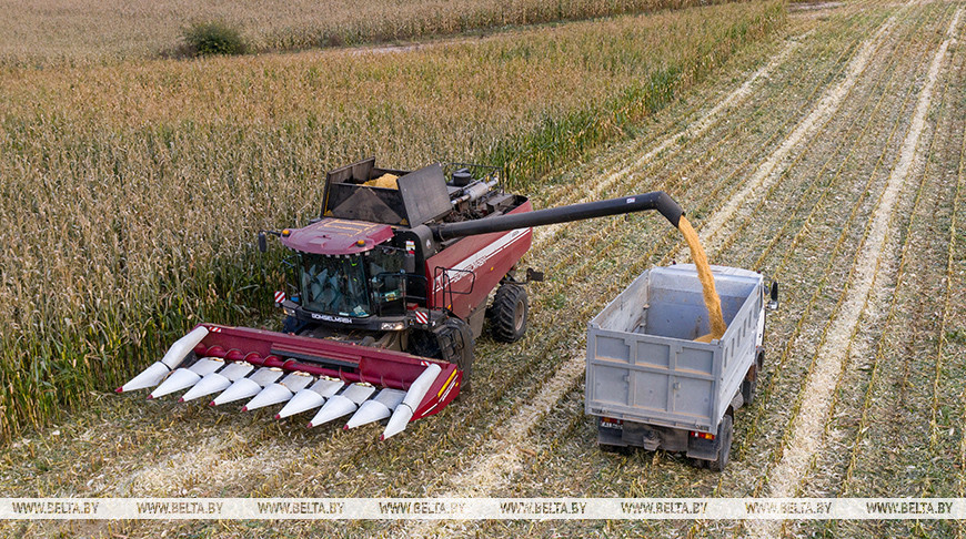 Фото из архива