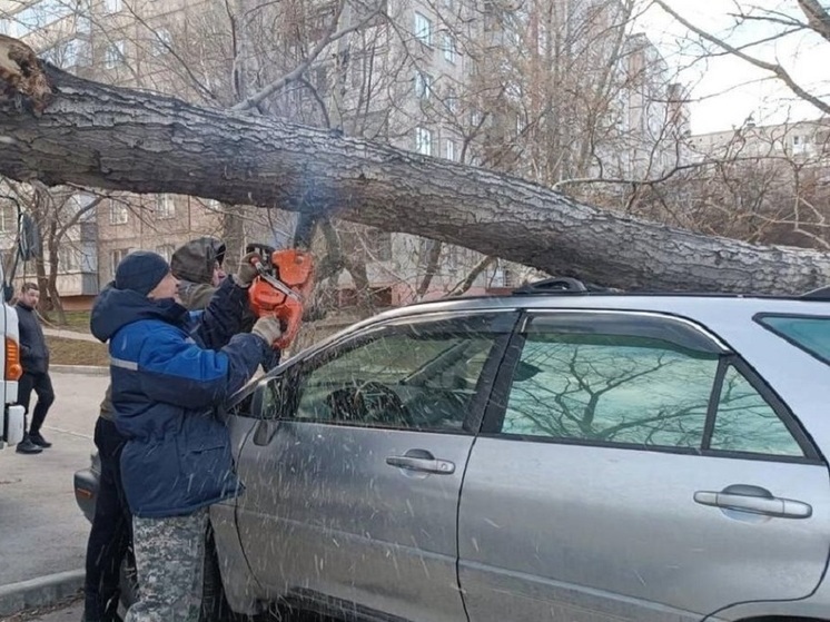 Здесь был ветер: какие разрушения принесла стихия в Алтайский край 7 ноября