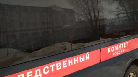 По факту нападения собак на детей в Эжве организована процессуальная проверка