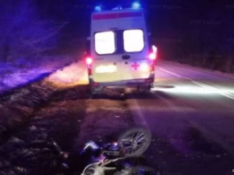 В Людиновском районе опрокинулся питбайк: пострадали двое