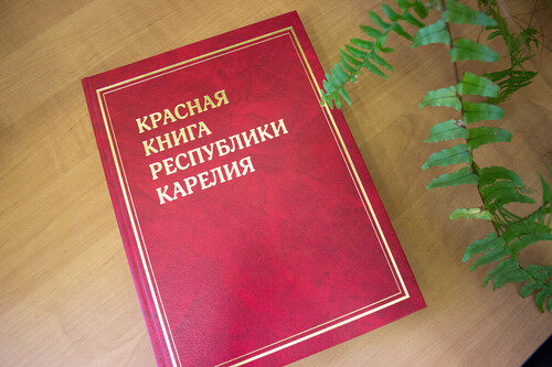 Красная книга Республики Карелия, издание 2020 года. Фото: Служба научных коммуникаций КарНЦ РАН