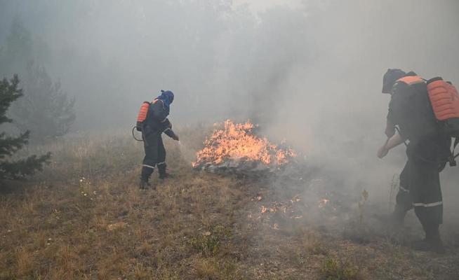 В Челябинской области увеличили маршруты патрулирования лесов 