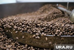 В одном из туров предлагают дегустацию кофе, сыра и шоколада 