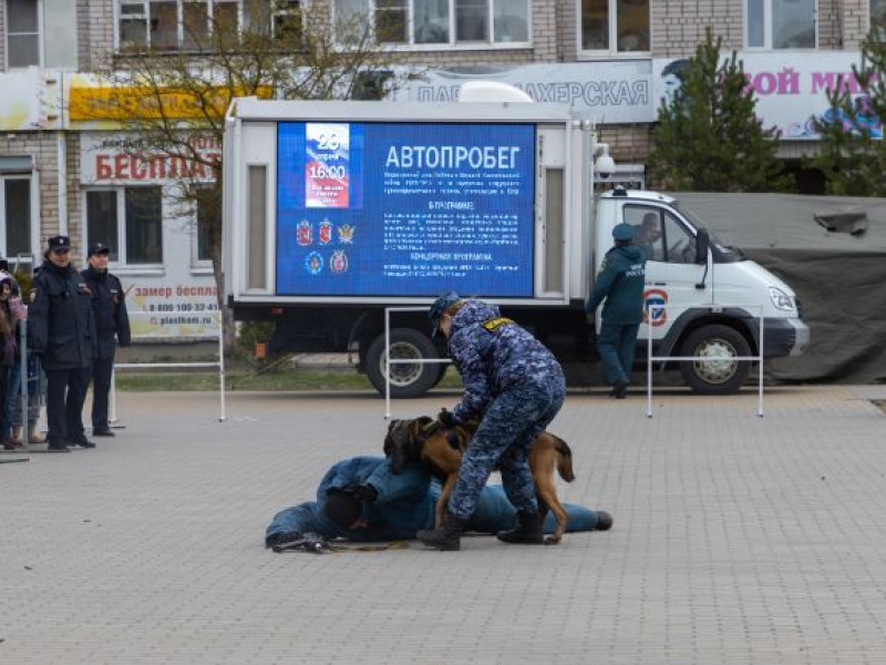JPG Файл