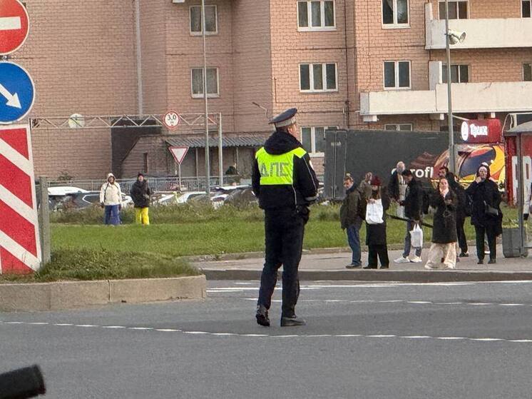 В Калининградской области за неделю поймали 22 пьяных водителя