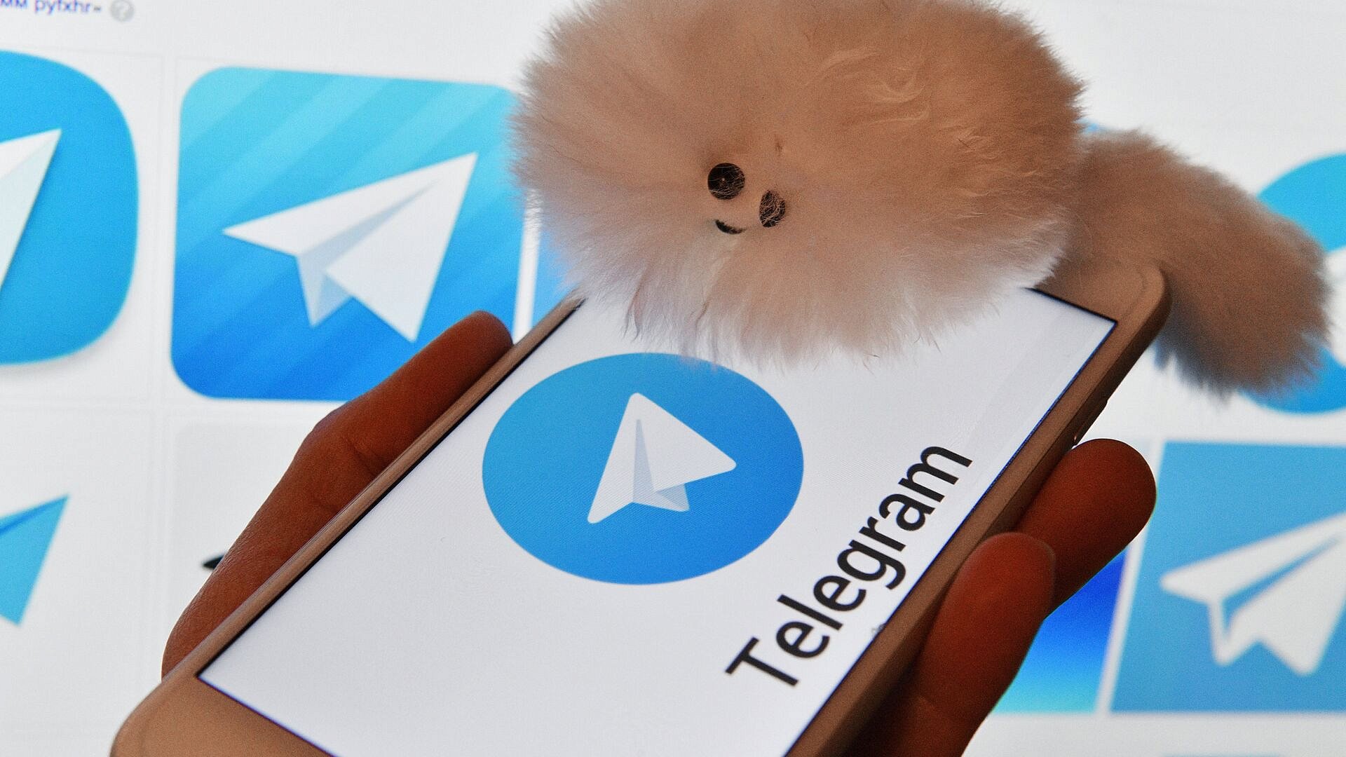 Telegram добавит возможность продавать стикеры в виде NFT