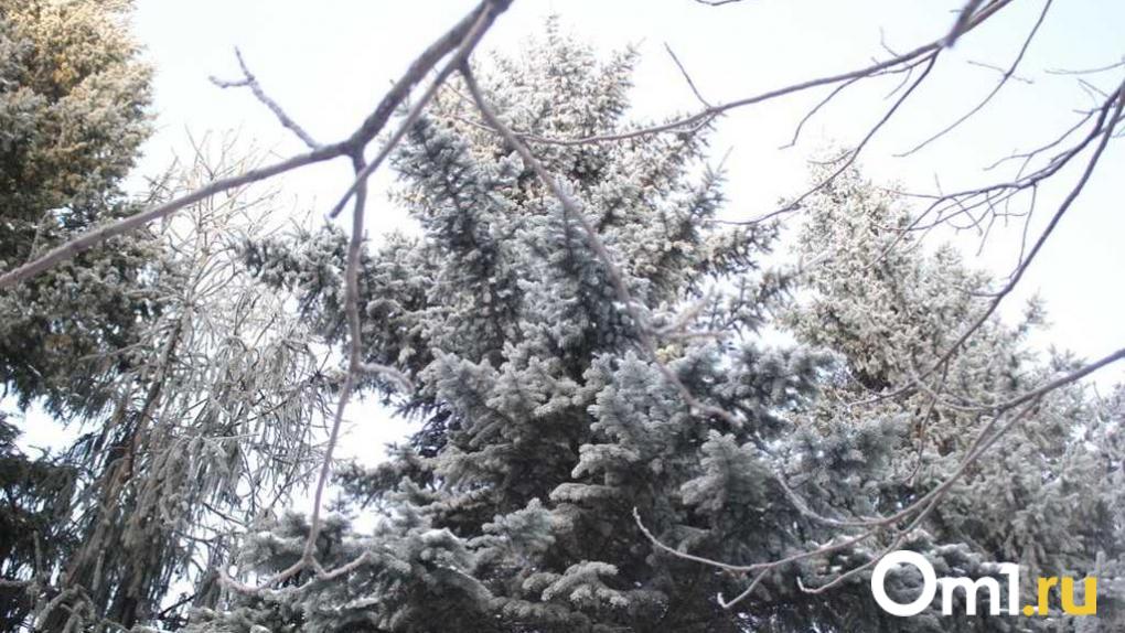 В омский парк 300-летия может вложиться инвестор из Казахстана