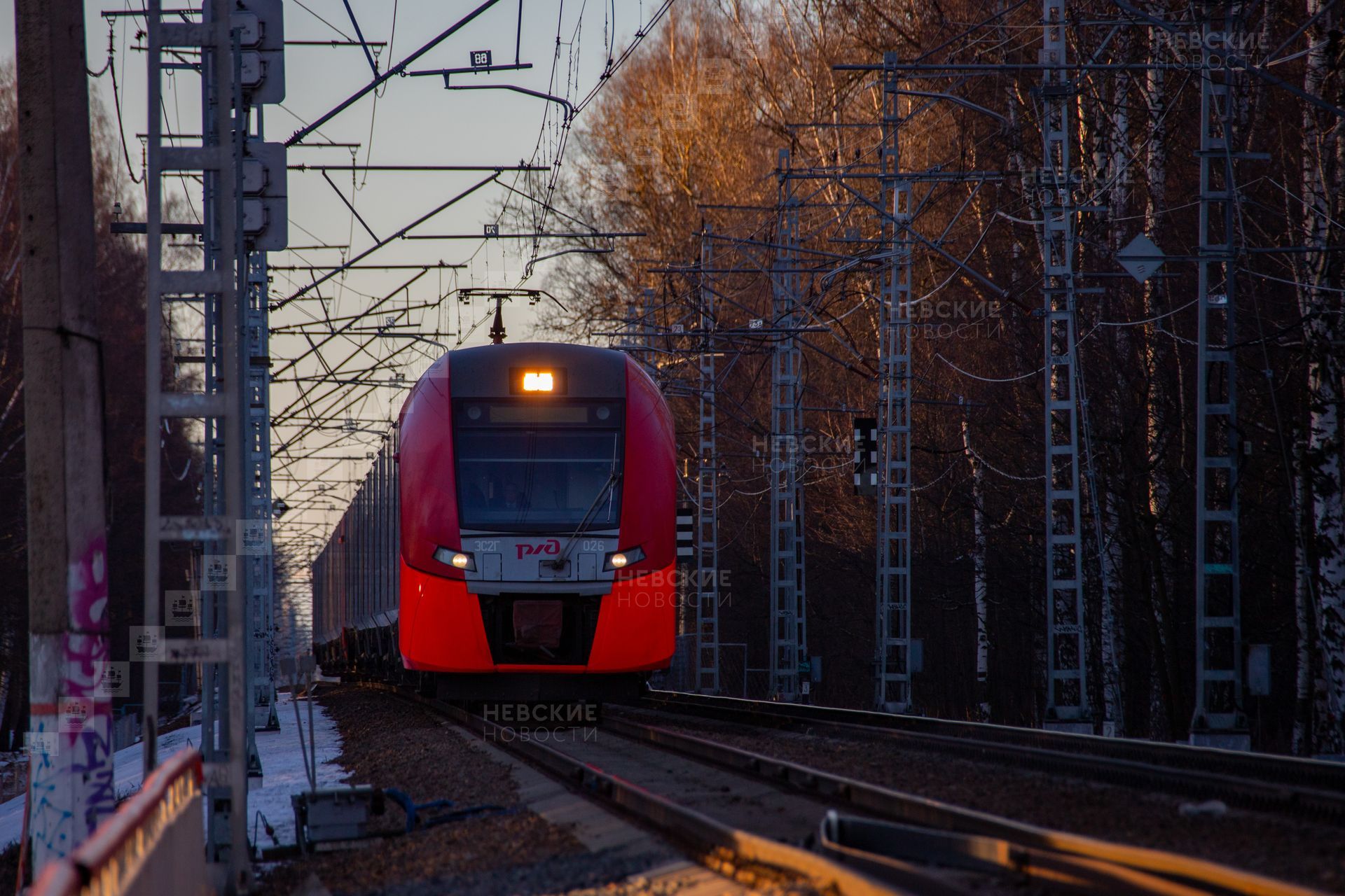 поезд ласточка до санкт петербурга