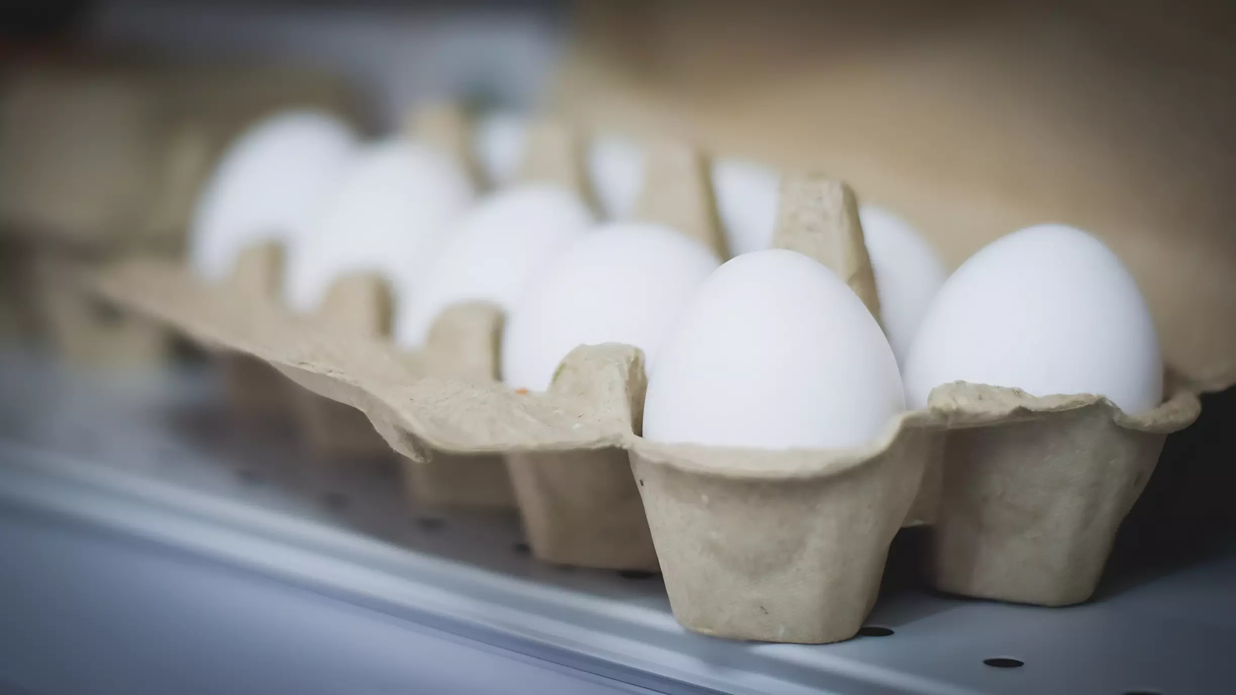 Миллионные доходы белгородских птицефабрик: кто и сколько заработал на яйцах