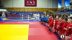 В Челябинске провели Фестиваль борьбы по трем единоборствам