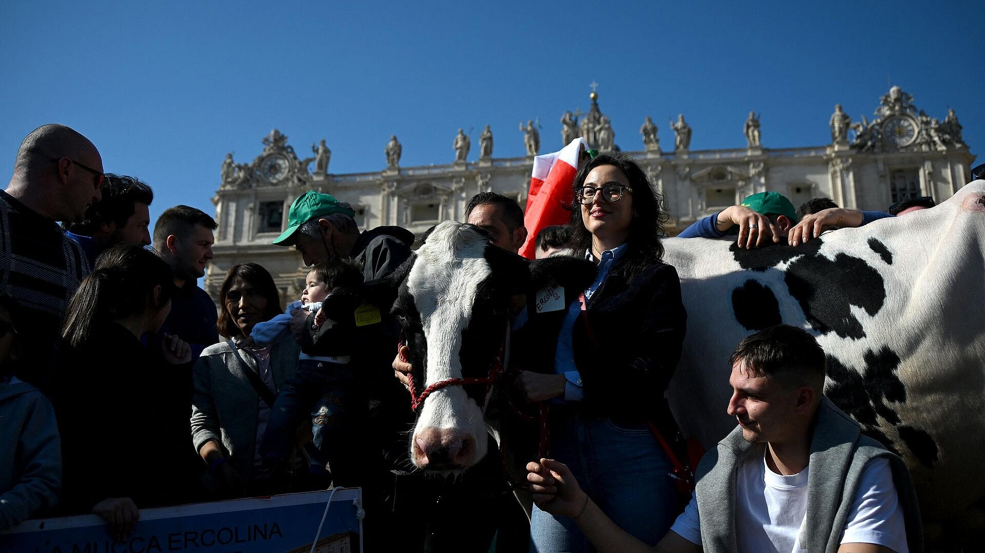 Итальянские фермеры привезли корову на проповедь папы Римского 