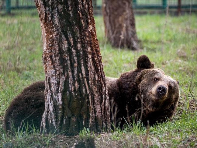 Как отдохнуть белгородцам 24–26 октября - Изображение 1