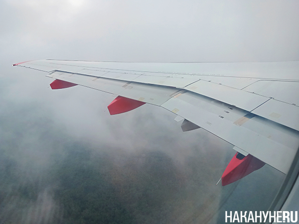 Фото: Накануне.RU