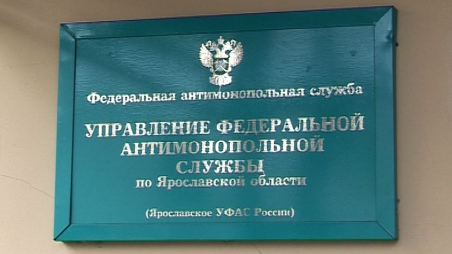 В Ярославле бизнесмен создал сайт-дублер СЭС