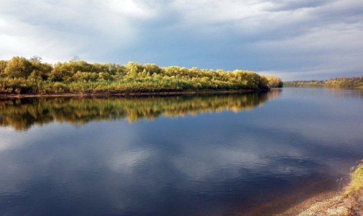 Презентация норский заповедник