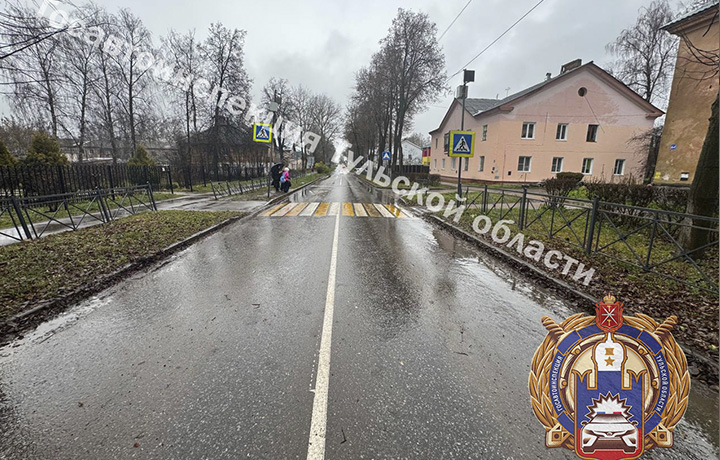Женщина-пешеход попала под машину на «зебре» в Щекине