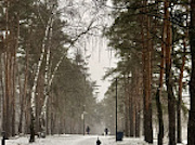 В Нововоронеже при поддержке «Росэнергоатома» завершился 4-й этап благоустройства городского парка