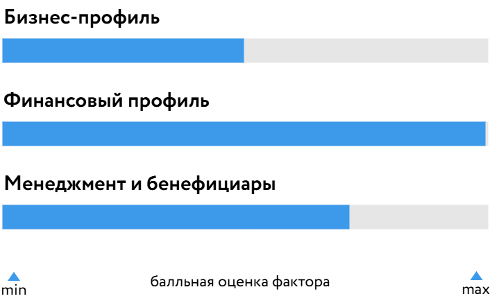 Моторика_БОСК_250725.png