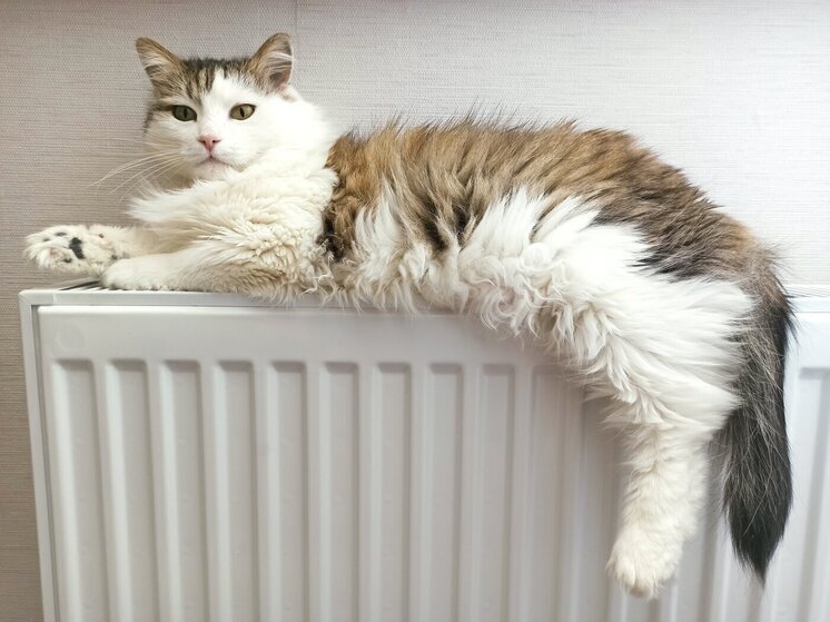 В учреждения 3 районов Волгоградской области начали подавать тепло