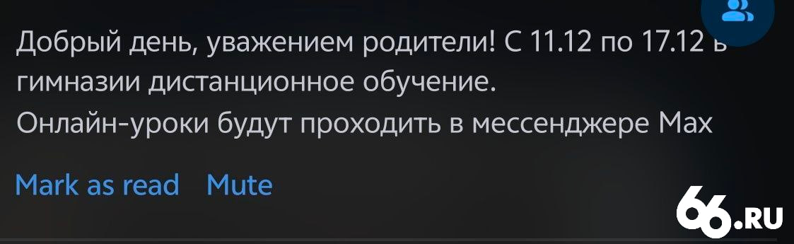 Директор закрыл школу и отправил учеников на онлайн-уроки в Max
