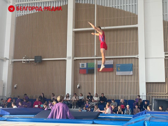 Центр гимнастики сирень белгород. Центр гимнастики сирень белгород. Центр художественной гимнастики белгород. Центр гимнастики сирень белгород. Центр гимнастики сирень белгород.