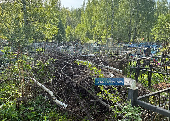 Спиленные ветки на кладбище в Кинешме пообещали убрать за неделю