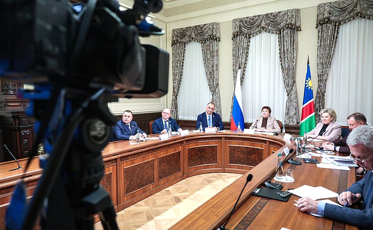 Совместное заседание групп по сотрудничеству Совета Федерации Федерального Собрания Российской Федерации и Национального совета Республики Намибии