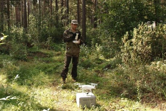 Еще пять лесничеств в Иркутской области вошли в пожароопасный сезон