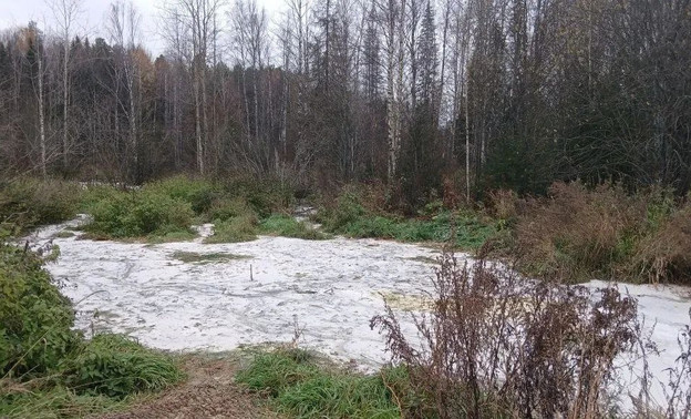 В Котельничском районе выявлен незаконный сброс отходов: прошла проверка МВД