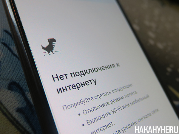 Фото: Накануне.RU